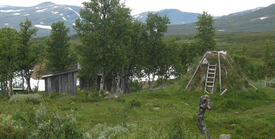 Bild på naturlandskap