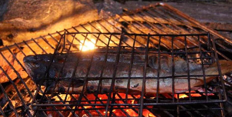 Bild på halstrad nyfångad fisk.