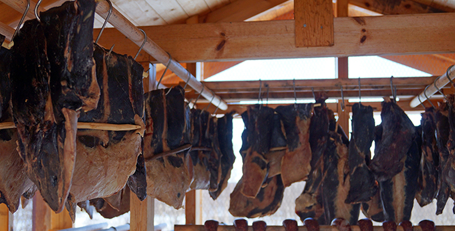 Bild på renkött som torkar